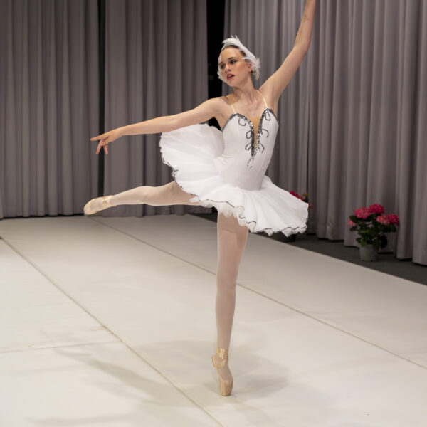 emily-und-millie-in-new-york-juni-2024