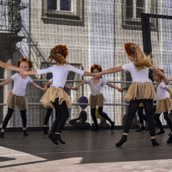 4 - _DSC8662-Verbessert-NR