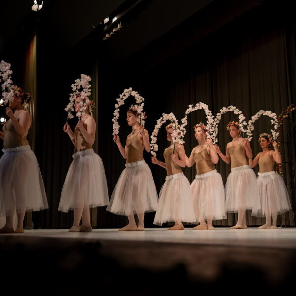 Tanzaufführung - Dance Academy Anna