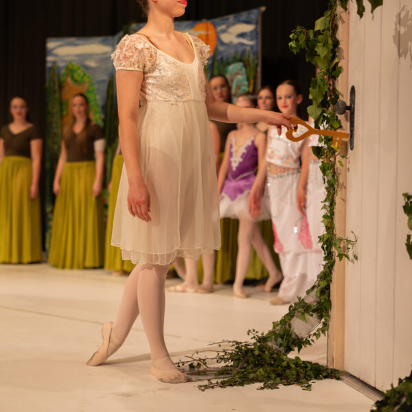 Tanzaufführung - Dance Academy Anna